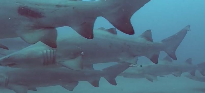 87426962-4308-4d58-ad39-6848db354c9d