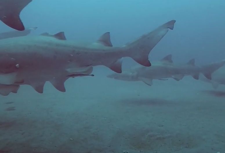 87426962-4308-4d58-ad39-6848db354c9d