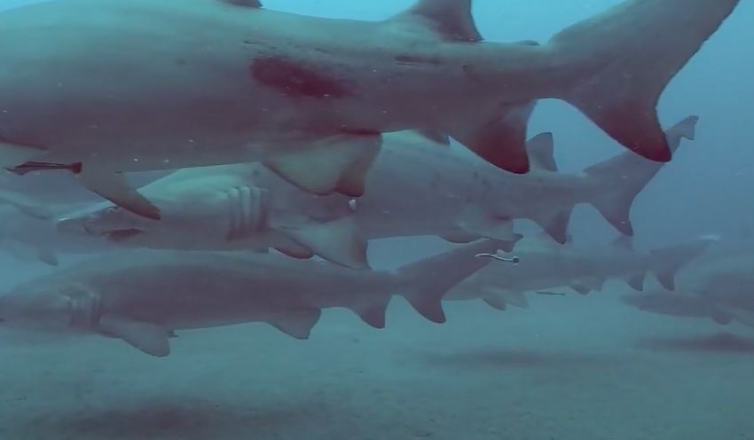 87426962-4308-4d58-ad39-6848db354c9d