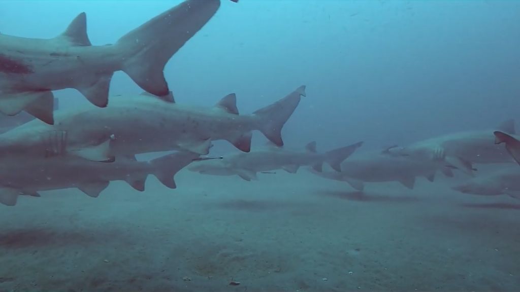 87426962-4308-4d58-ad39-6848db354c9d