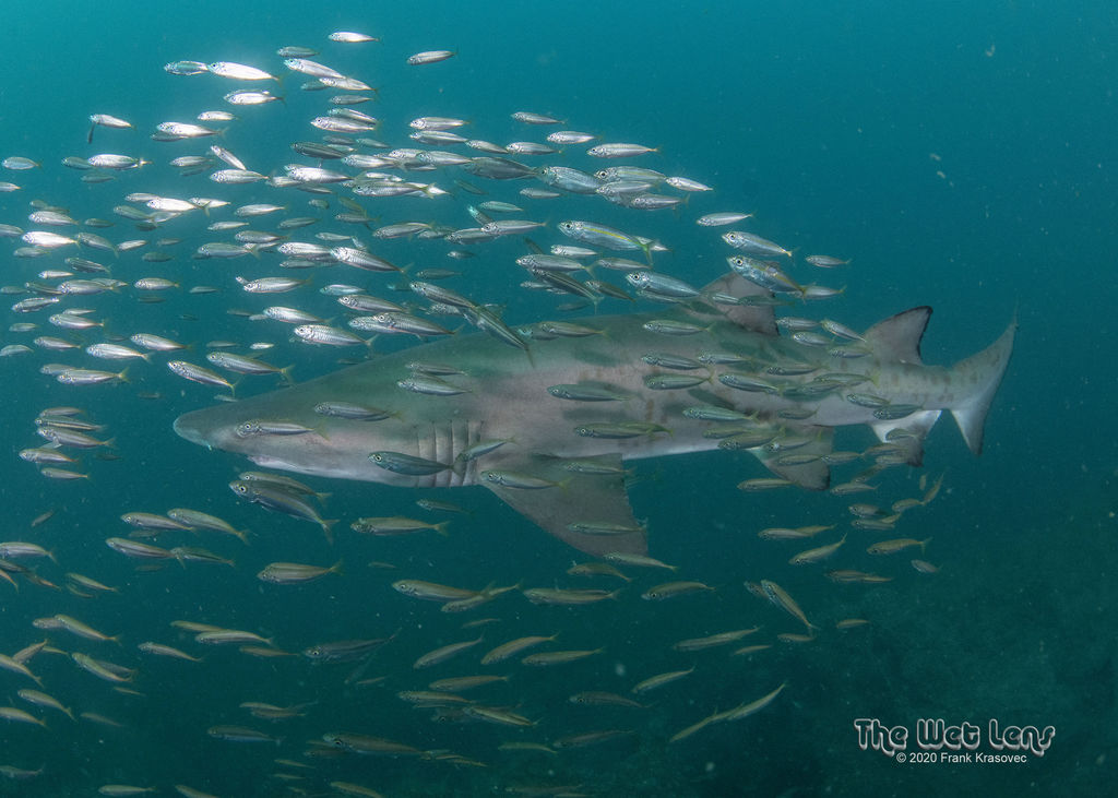 5391774a-f720-4fa2-bac3-02d60b540f4e