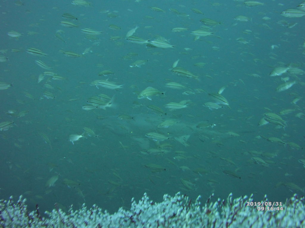 8c359341-f0b3-4cc3-8607-120db14bf74f