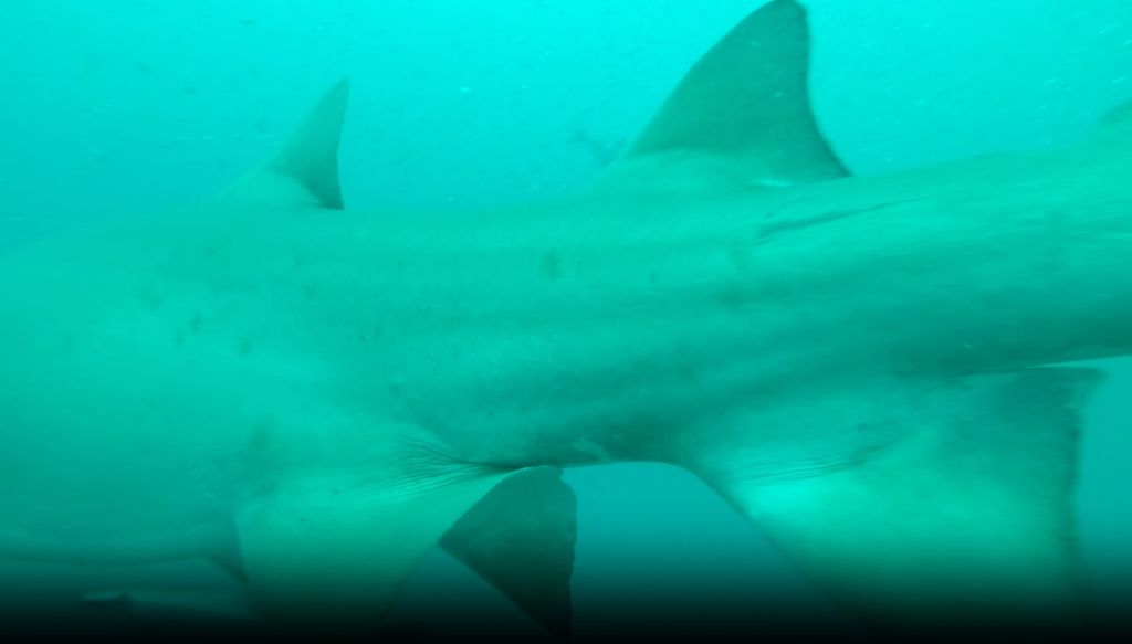 b0f23934-0443-4aab-80b5-9fb3014ce090