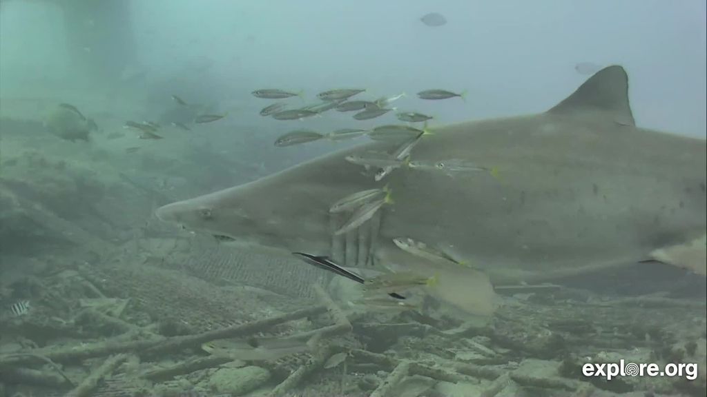 28066dff-fe84-4e65-abda-41a77b66e57d