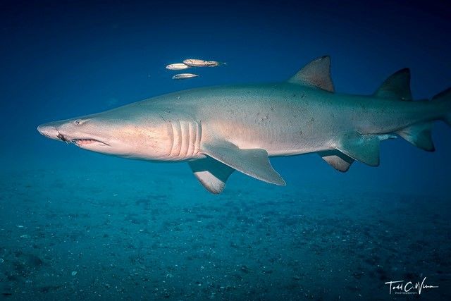 c251f6b6-0bb9-44dd-90c7-7ede713f5af2