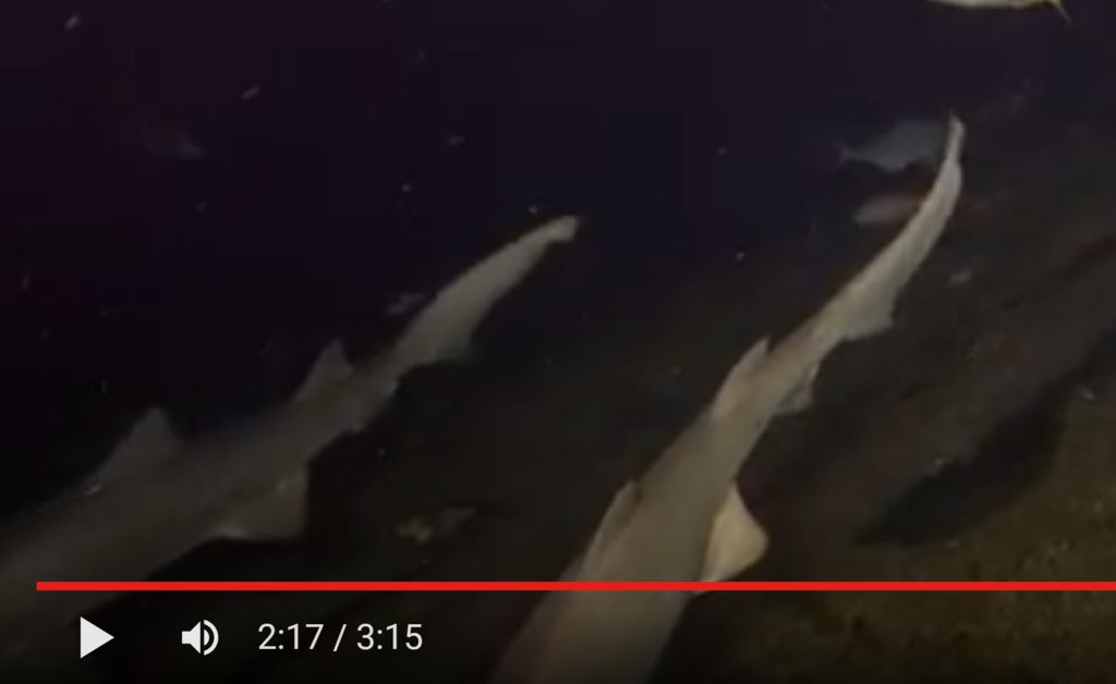 c1e966a5-0f87-4f9d-a76c-38d5b0d96c6e