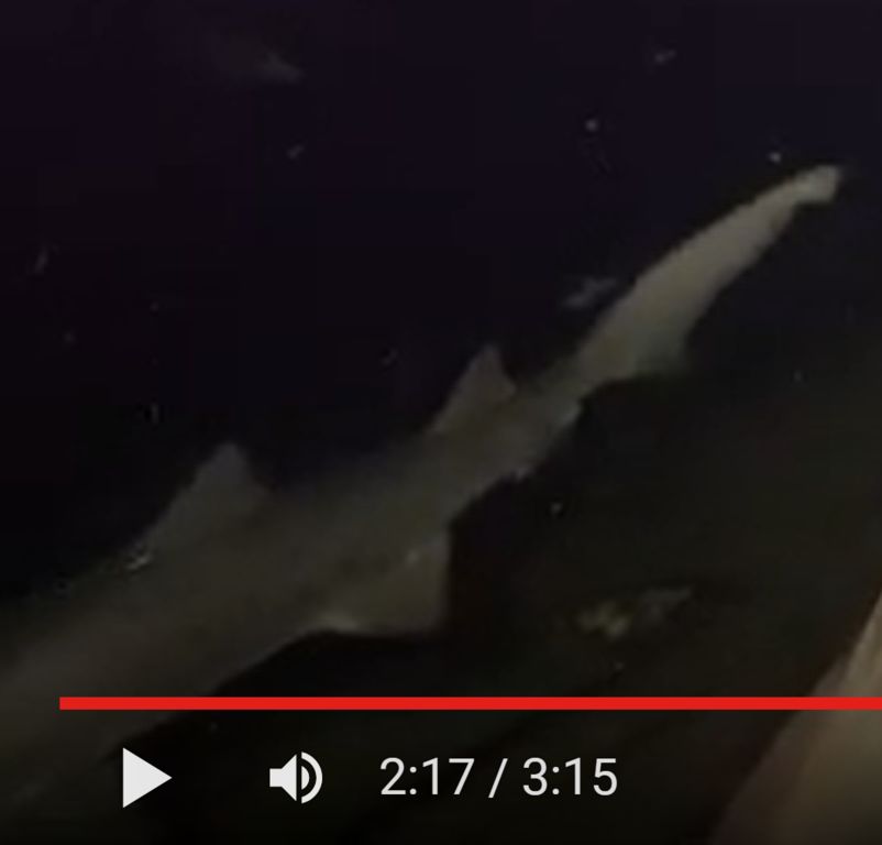 c1e966a5-0f87-4f9d-a76c-38d5b0d96c6e