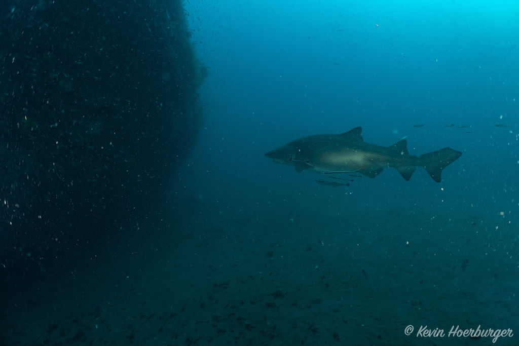 62376a39-0297-4d31-9af6-2cc052733cdd