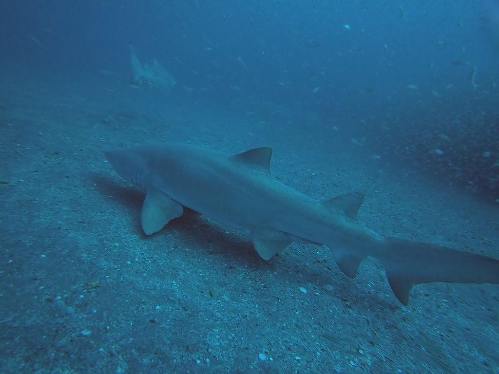 635b6748-f9a7-4ea3-8c26-8e68c55916dd