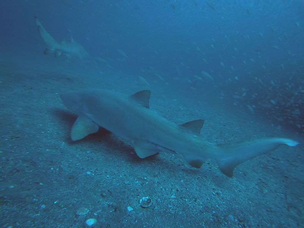 635b6748-f9a7-4ea3-8c26-8e68c55916dd