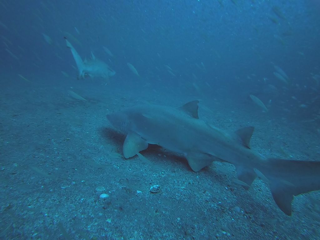 635b6748-f9a7-4ea3-8c26-8e68c55916dd