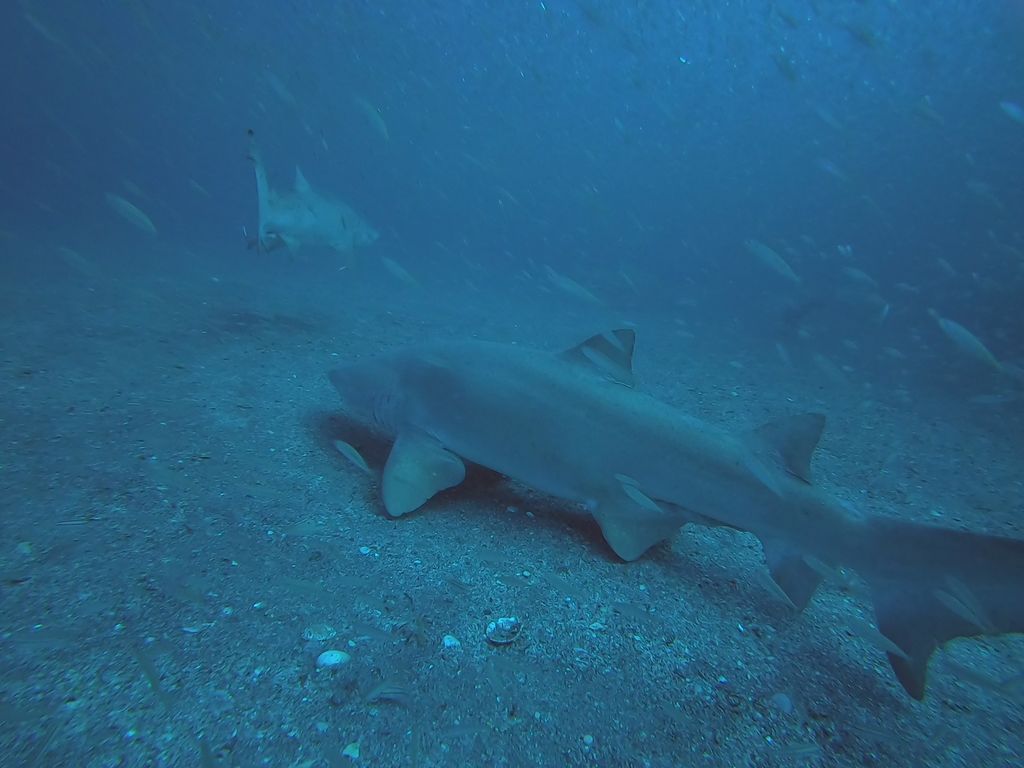 635b6748-f9a7-4ea3-8c26-8e68c55916dd