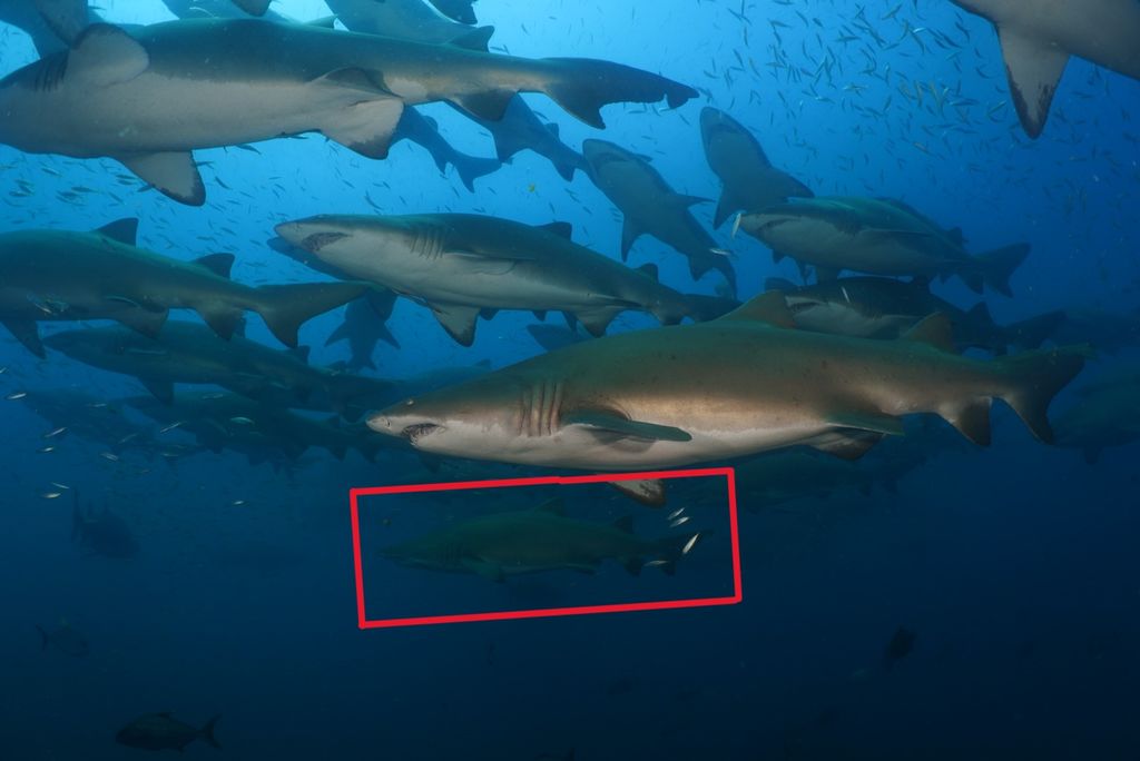 bb3da72c-90b5-4140-b1b6-a419f6a35597