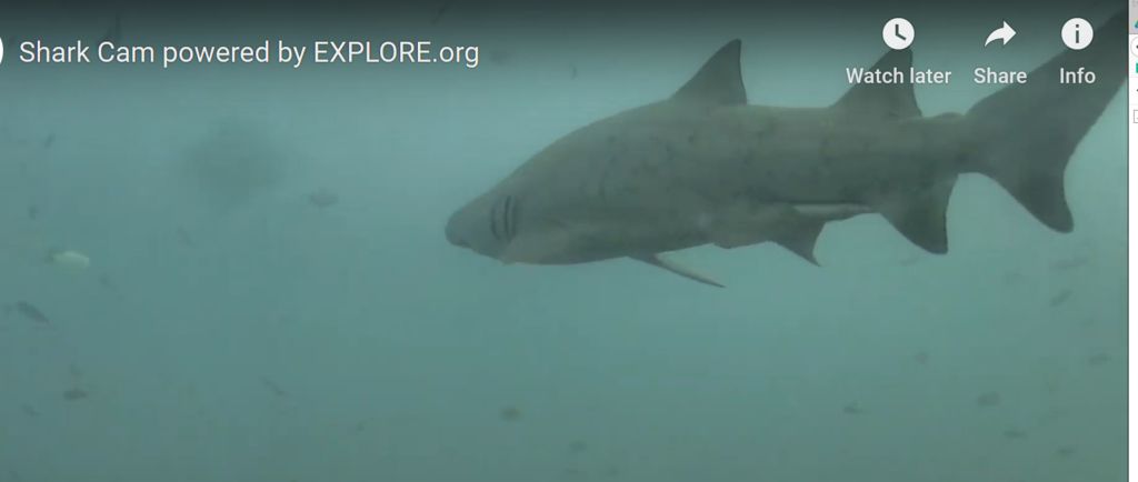 9a29917b-66b0-4d98-a8d5-7637a305f0ac