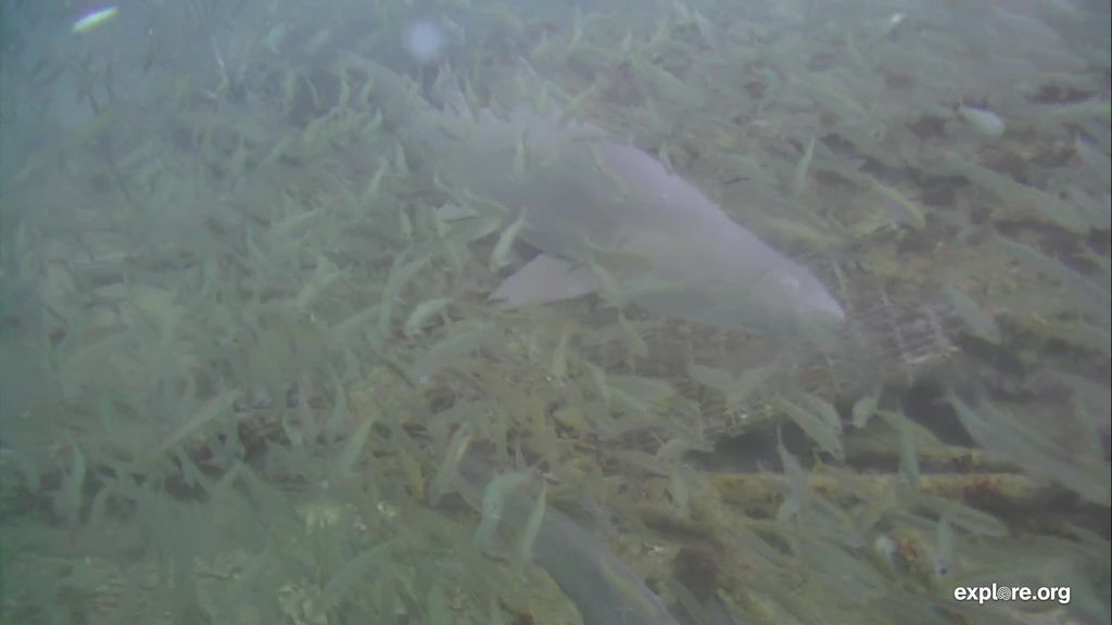 9045b6d9-a4ce-4928-ac34-52b11fb87d15