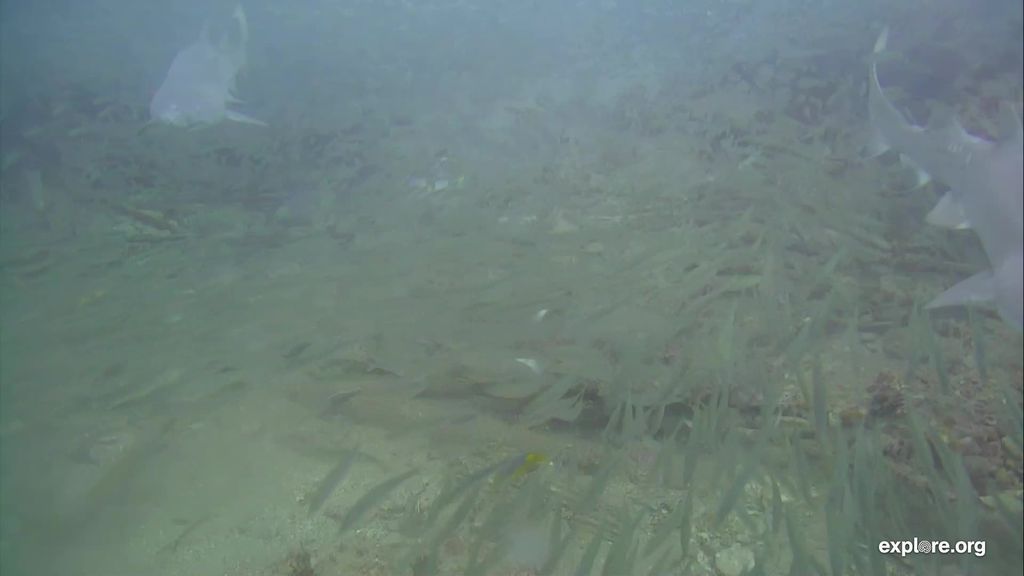 9045b6d9-a4ce-4928-ac34-52b11fb87d15