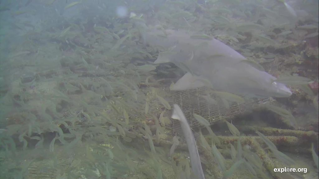 9045b6d9-a4ce-4928-ac34-52b11fb87d15