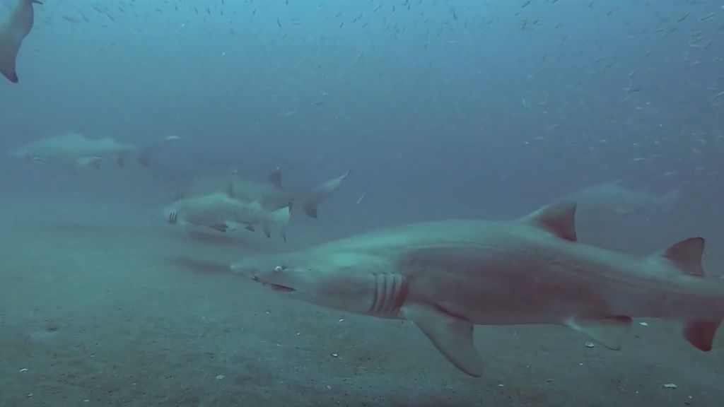 514588eb-d821-48a8-be53-e046514e2ef0