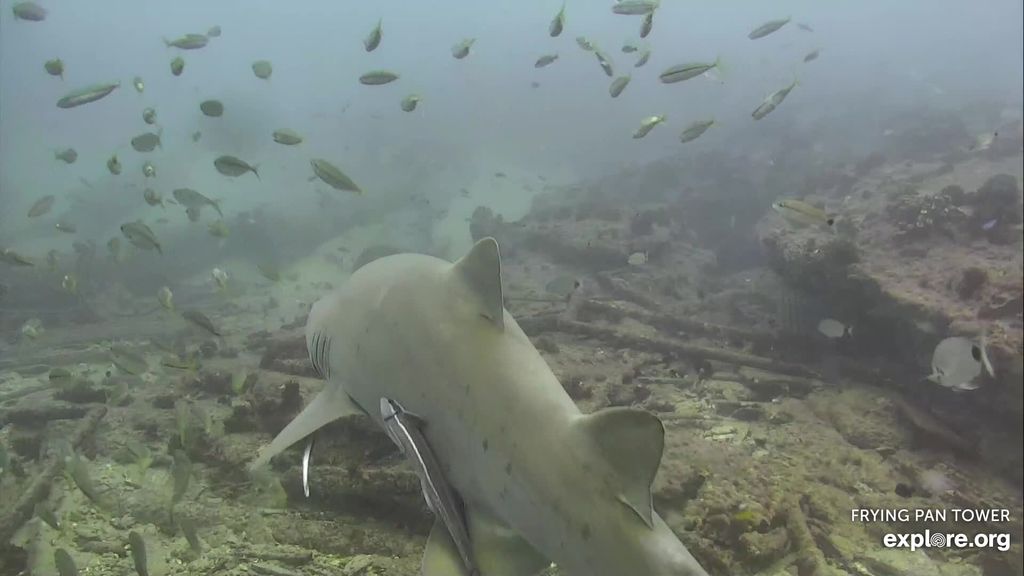 81ba2fa7-b76d-4199-b8a4-6e2f9430fb67