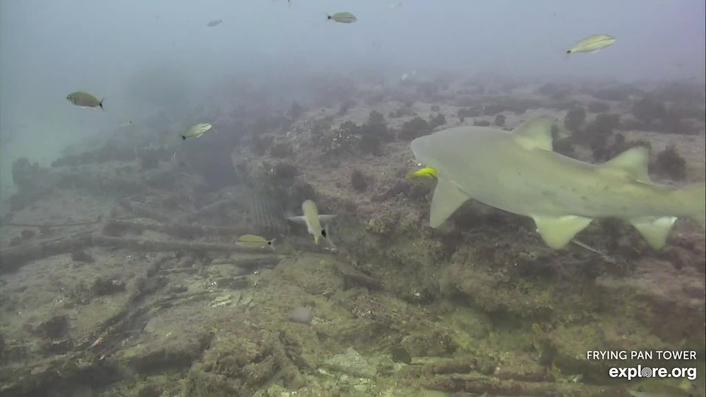 81ba2fa7-b76d-4199-b8a4-6e2f9430fb67