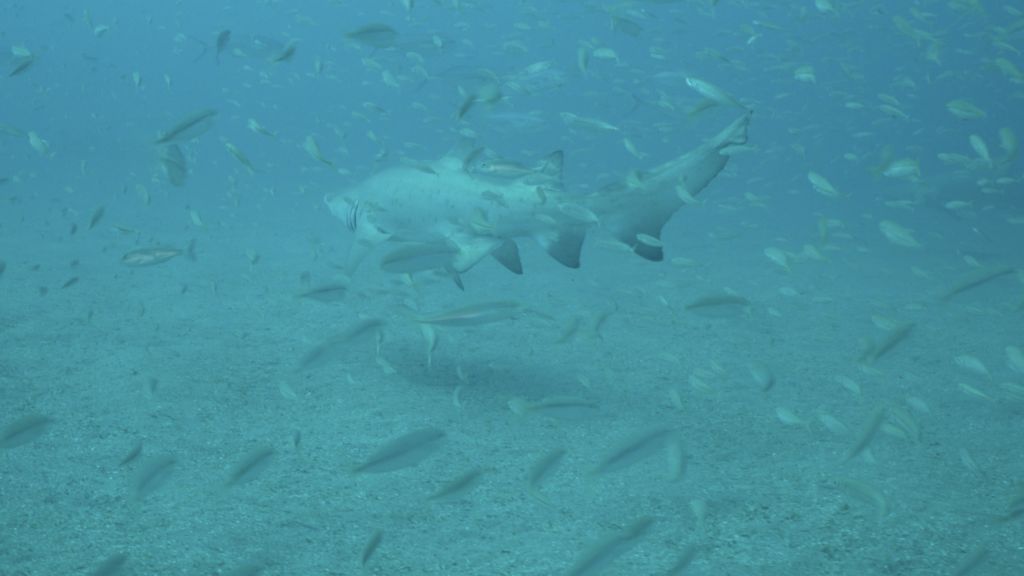 668e6ae5-7605-4b25-9fce-f58c77b91585