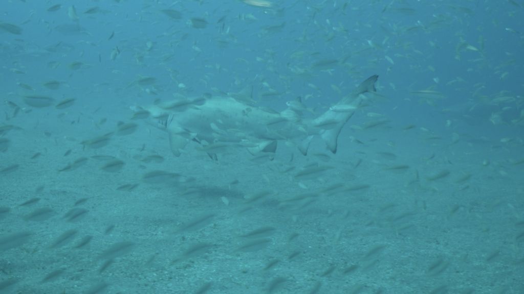 668e6ae5-7605-4b25-9fce-f58c77b91585