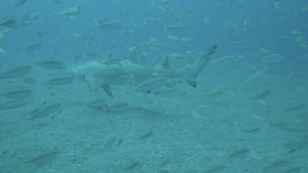 668e6ae5-7605-4b25-9fce-f58c77b91585