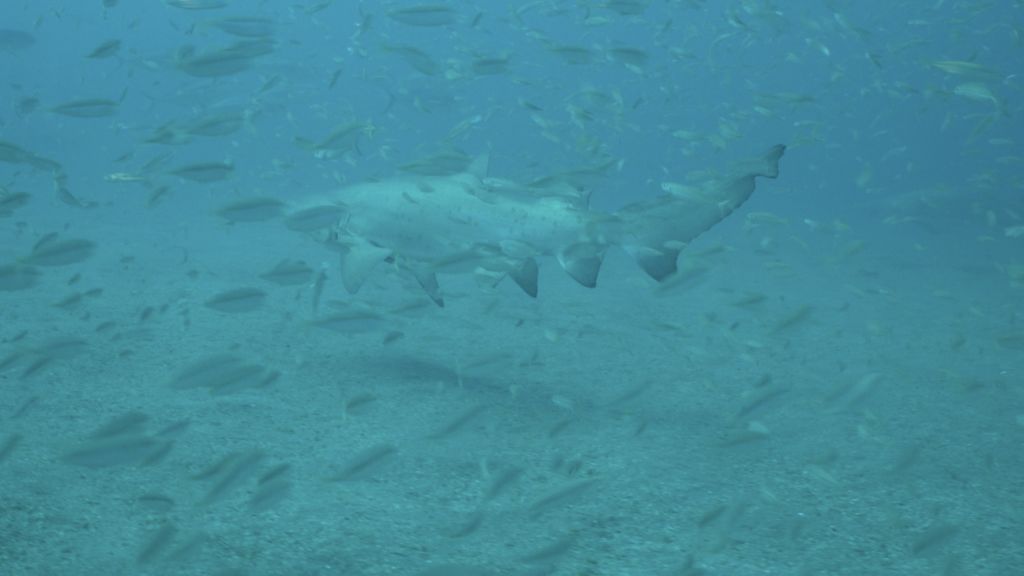 668e6ae5-7605-4b25-9fce-f58c77b91585