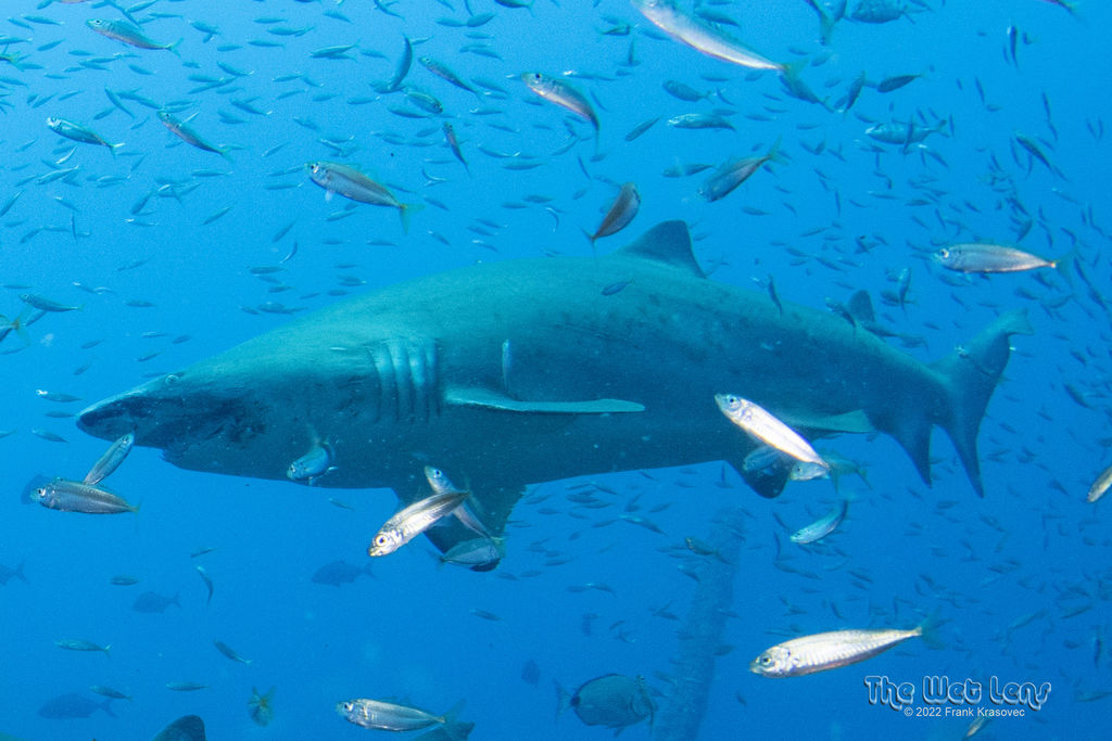 cdd34b0d-4bbd-467b-b06e-e5d80985be26