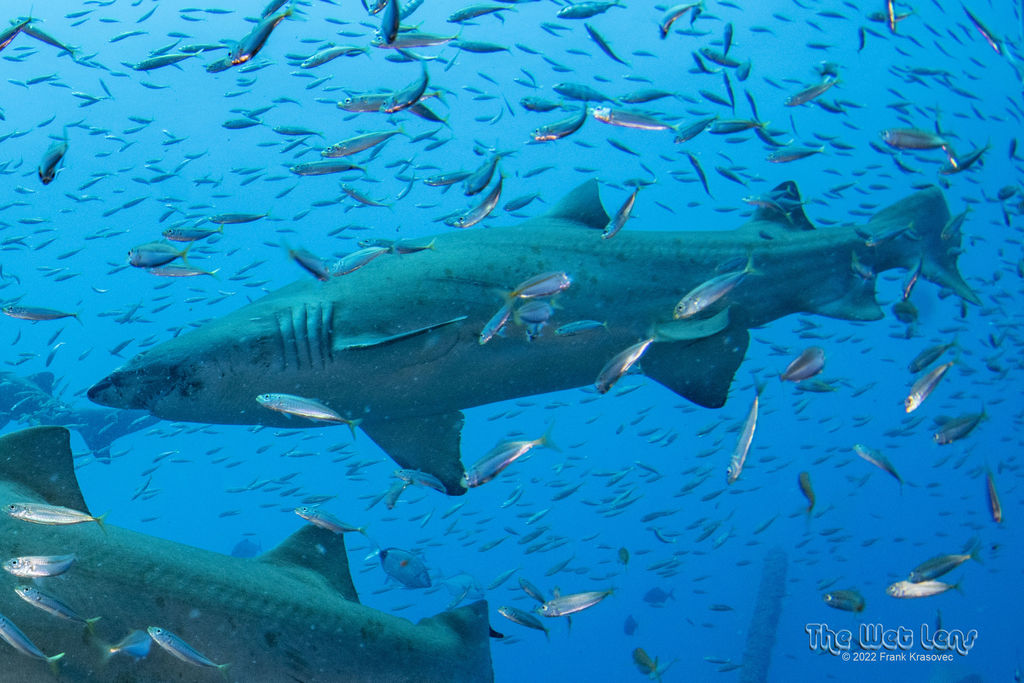 cdd34b0d-4bbd-467b-b06e-e5d80985be26