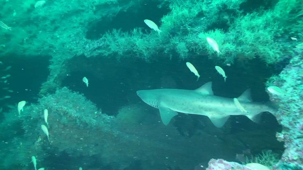 5cba42f6-fd0d-4aa0-8170-e31d5ef63eee