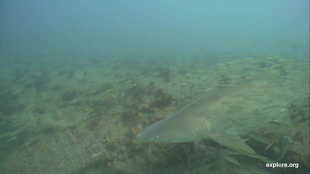 d30611ae-9752-429e-b567-e45b9bf07769