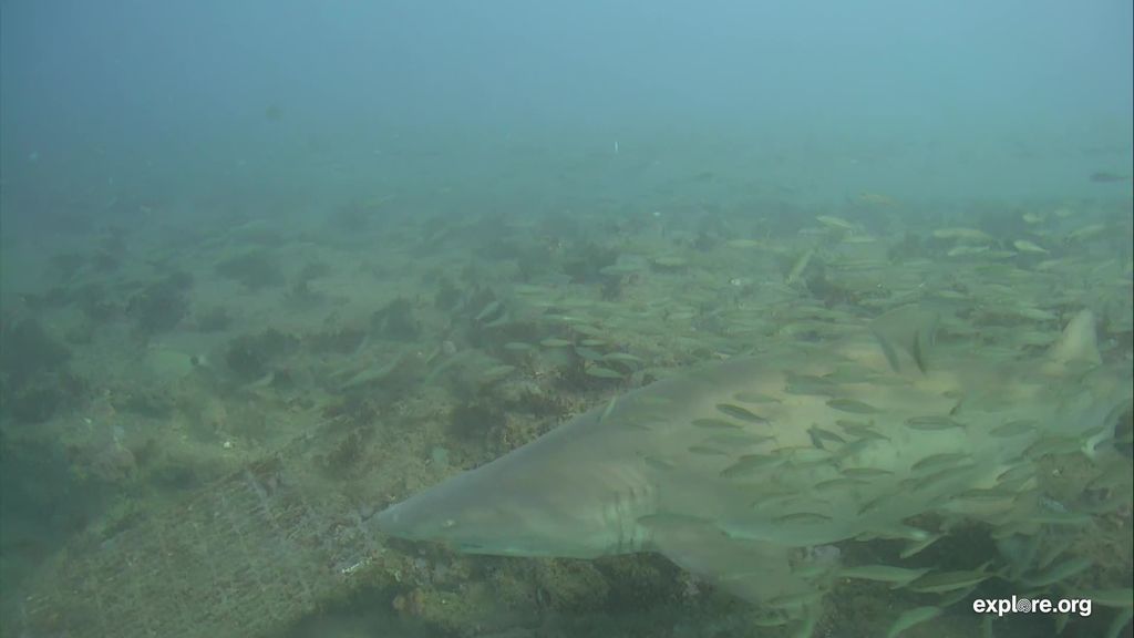 d30611ae-9752-429e-b567-e45b9bf07769