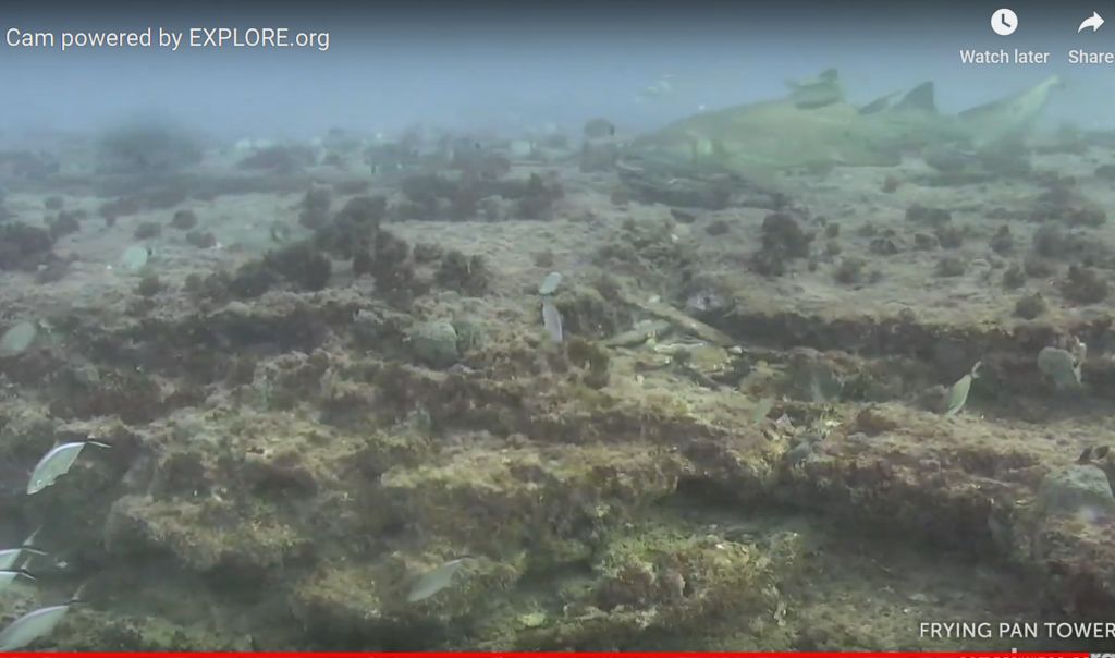 ba81401e-312d-429c-9c50-ba356724fc38