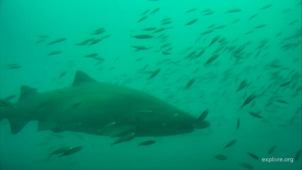 4d21c181-8348-41bb-b6c8-b7816aa20d39