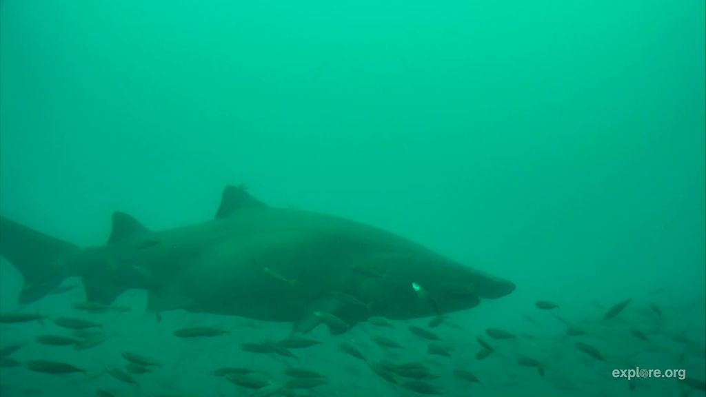 4d21c181-8348-41bb-b6c8-b7816aa20d39