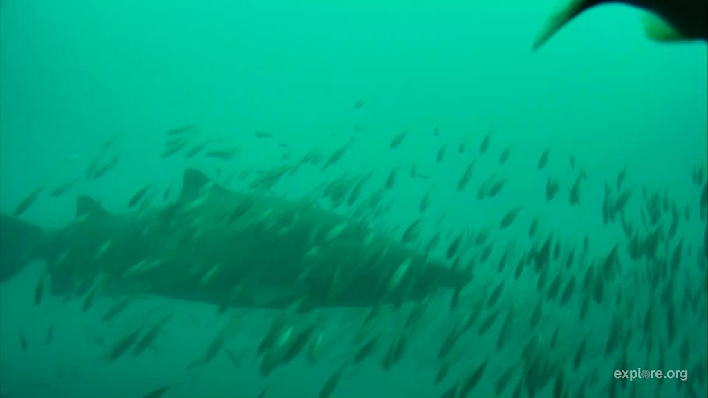 4d21c181-8348-41bb-b6c8-b7816aa20d39