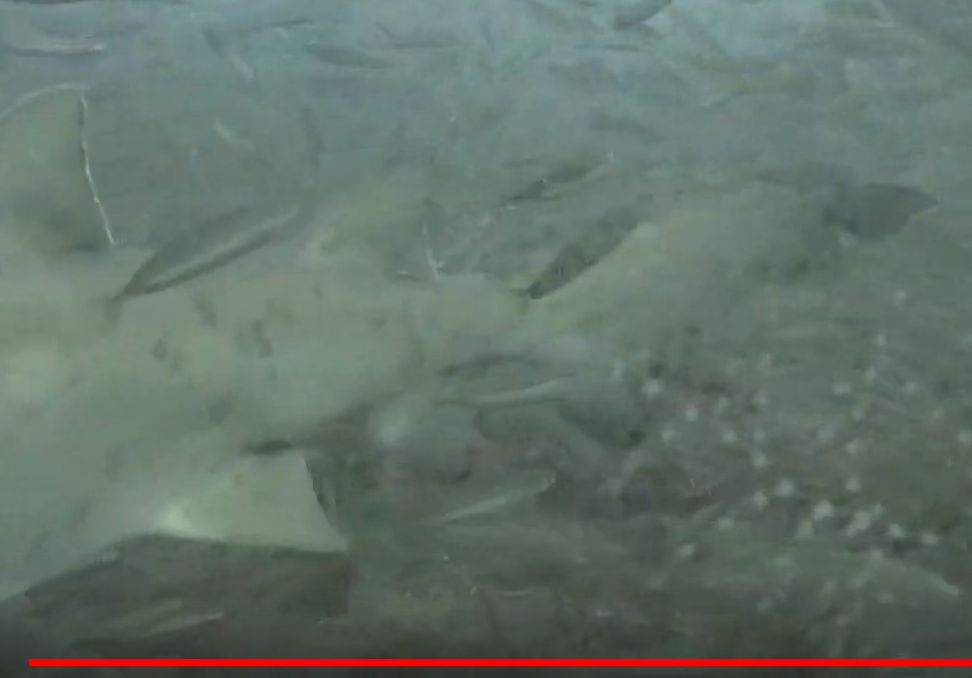 0f61ea0c-5386-400e-956b-1c670585e9ad