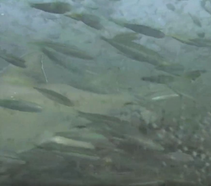 0f61ea0c-5386-400e-956b-1c670585e9ad