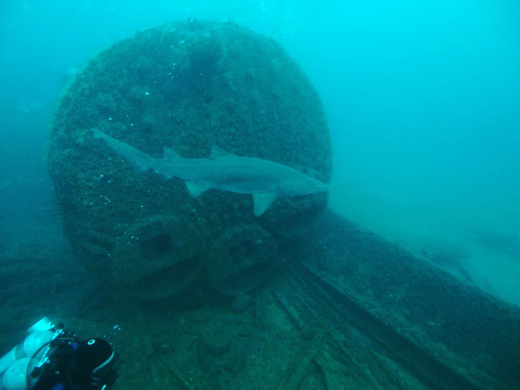 a4a1920a-17d7-4516-9406-1b2e3a3f786e