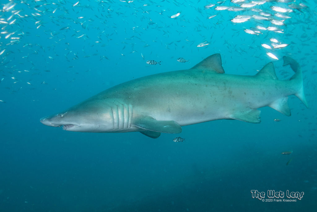 e1d179fb-f795-480b-b601-6bdcf1a7e482