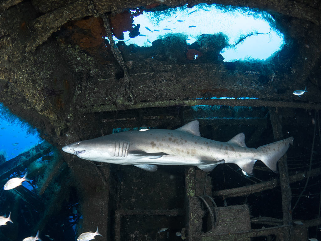 47be0dea-79fd-46dc-807c-5b176d6f5006