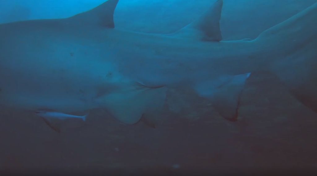 744b45b8-f942-46b4-b629-c5676c223d74