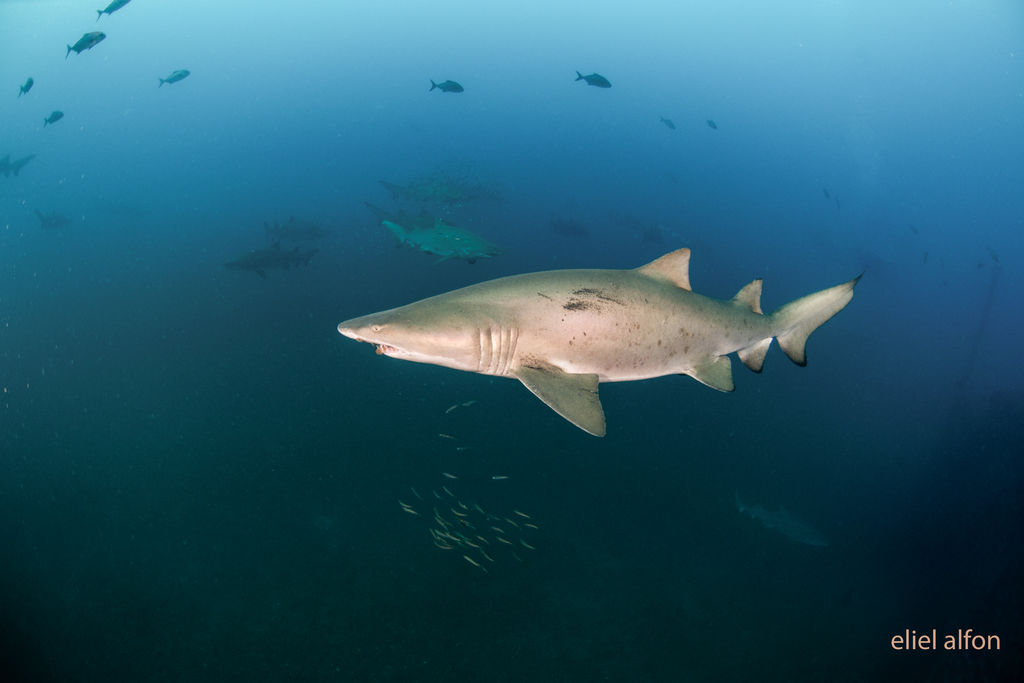 a37072ed-f7cf-44b5-8af1-9fee6c5907ec