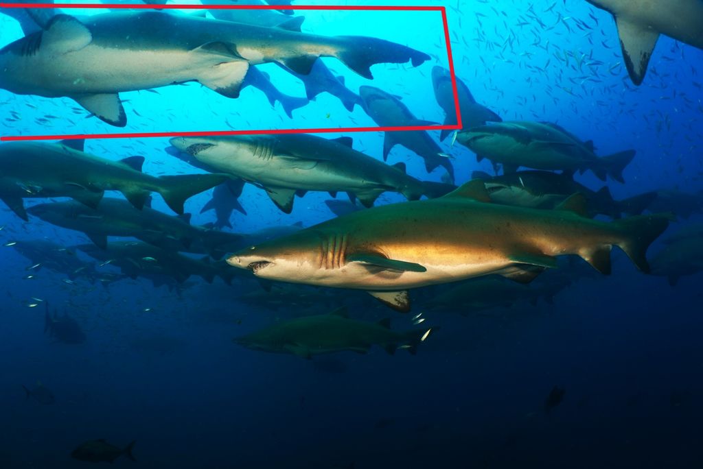 2b5309ca-a6af-4287-a072-b63a02be7a27