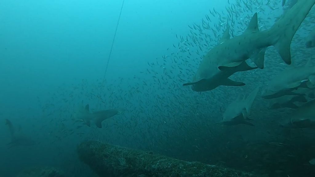 ad518191-8c16-494b-aba8-a24f4cd0033e