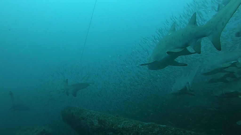 ad518191-8c16-494b-aba8-a24f4cd0033e