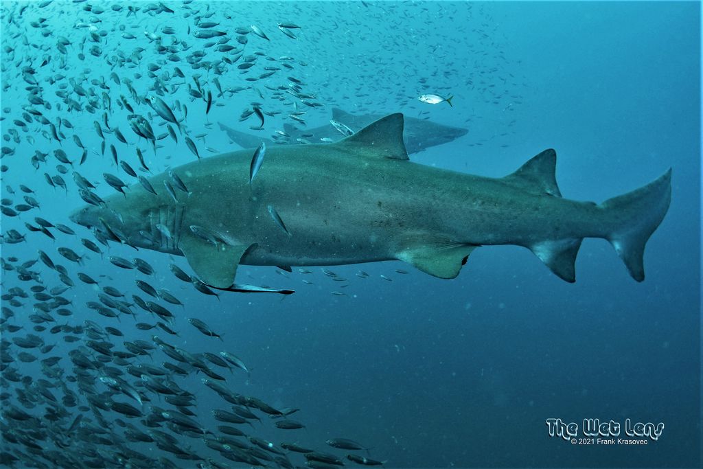 a5fe749d-d7ca-498c-82c2-ca9c0189ce58