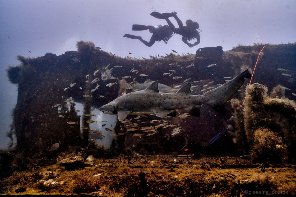 c5e50036-3573-47c4-9378-82467aa0445c