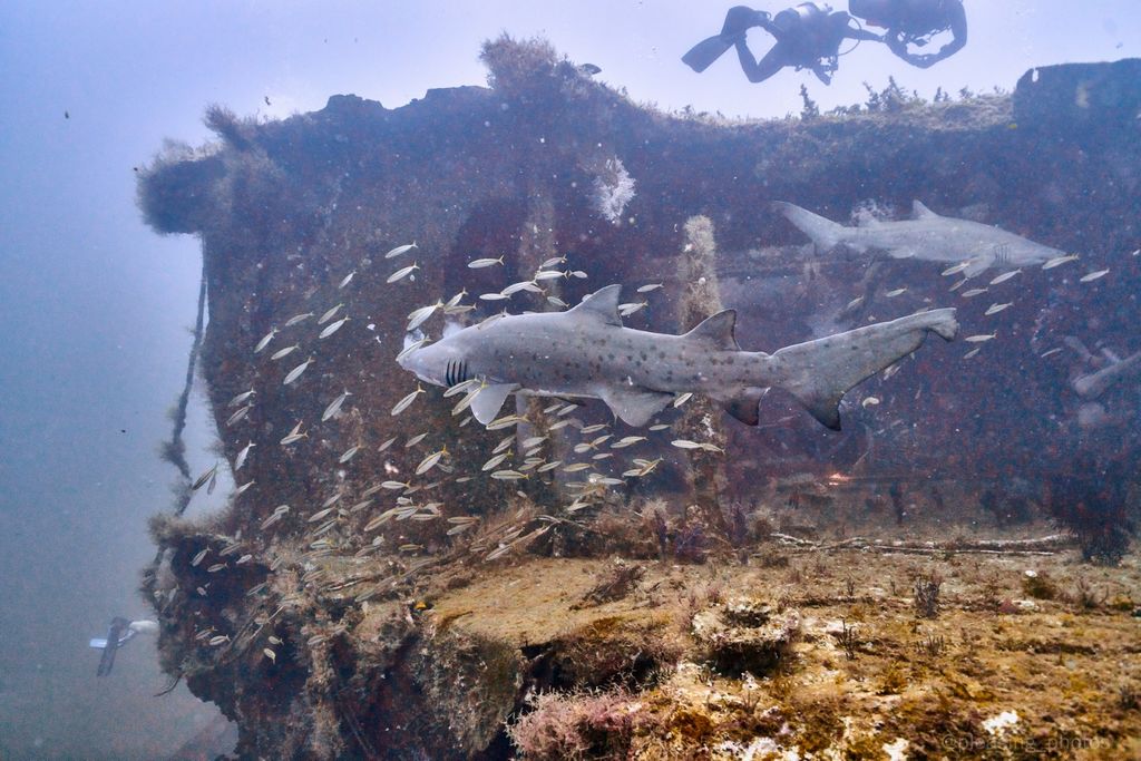 c5e50036-3573-47c4-9378-82467aa0445c